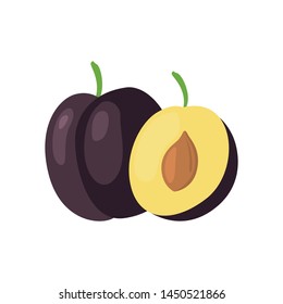 Plum fruit color vector icon. Flat design