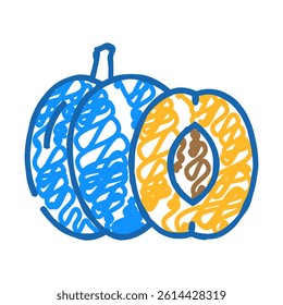 plum fruit doodle icon sketch vector. plum fruit sign. isolated symbol illustration