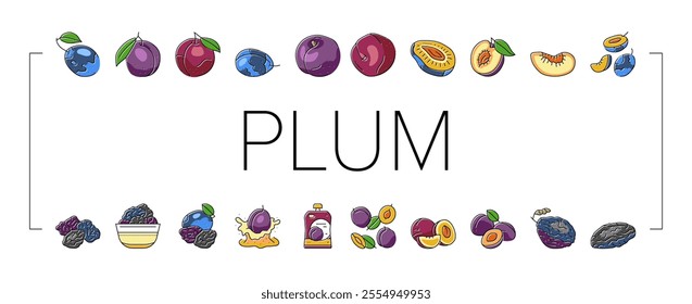 plum fruit green red prune icons set vector. orchard, blur food slice, tree top art, round purple dessert plum fruit green red prune color line illustrations