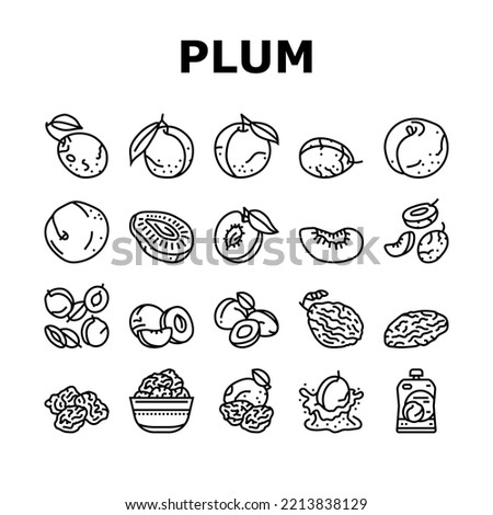 plum fruit green red prune icons set vector. orchard, blur food slice, tree top art, round purple dessert plum fruit green red prune black contour illustrations