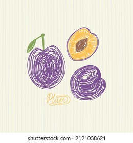 Plum fruit. Hand drawn vector illustration. Pen or marker doodle sketch.
