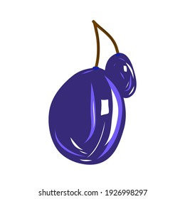 Plum fruit isolated on white vector illustration. Idea for decors, picture in frame, gifts, ornaments, celebrations, invitation, greeting, spring and summer themes. Ready-made art.