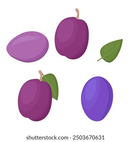 Plum fruit isolated on a white background. Vector illustration, icon of fruits. Four plums and leaves in a hand-drawn style.	