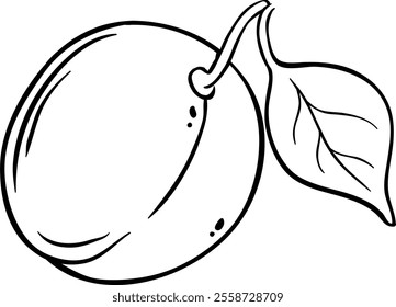 Plum Fruit Isolated Outline Illustration.