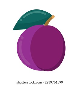 Plum fruit isolated vector illustration