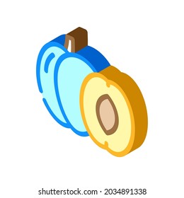 plum fruit isometric icon vector. plum fruit sign. isolated symbol illustration