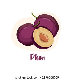 Plum fruit and leaf vector icon. Fresh juicy plum isolated on a white background. Colorful half and whole plum with a leaf. Perfect for juice or jam, cooking book.