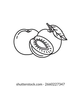 
Plum Fruit line art ilustração vetor plana