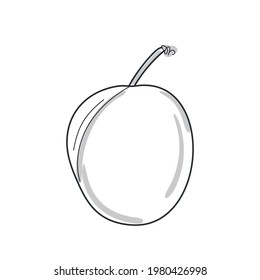 ilustración vectorial de la línea de frutos de ciruela