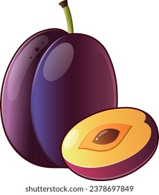 plum fruit premium vector illustration