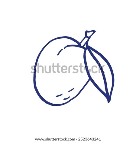 Plum. Fruit sketch. Hand drawn sketch. Blue pen or marker drawing. Primitive kids picture. Apricot icon. Vector illustration