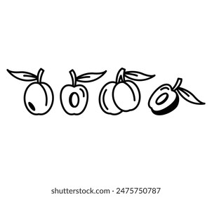 plum fruit slice icons vector design simple line black white color flat illustration collection sets