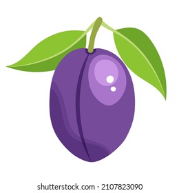 Plum is a fruit of summer and autumn. Fresh juicy plum with a leaf. Vector illustration