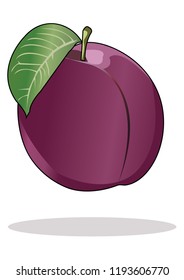 Plum Fruit Vector