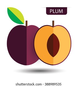 plum, fruit vector illustration