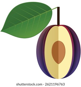 Ícone de ameixa madura da ilustração do vetor da fruta da ameixa