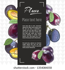 plum fruit vector menu design templates. Vector fruit illustration with hand drawn doodles for greeting card, banner	