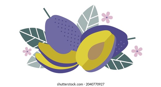 Plum fruits. Flat illustration. Whole and cut fruits, leaves, plum pits and flowers.