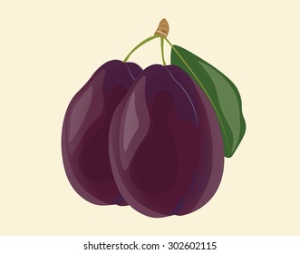 Plum fruits isolated. Vector