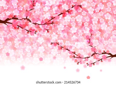 Plum greeting cards background