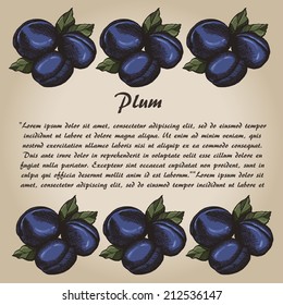 Plum, hand drawn plum with leaves