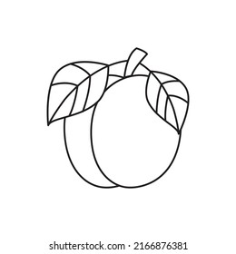 Plum icon in line style icon, isolated on white background