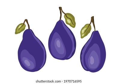 Plum icon set isolated on white background. Natural delicious fresh ripe tasty fruit. Template vector illustration for packaging, banner, card, other design. Stylized plums with leaves. Food concept.