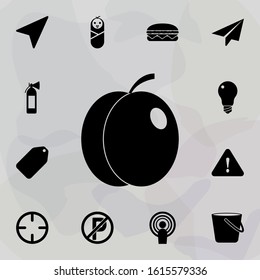 plum icon. web icons universal set for web and mobile