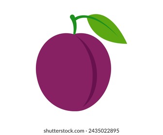 plum illustration for coloring book template, plum for kids worksheet printable