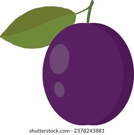 Plum Illustration - Plum with stem and leaf isolated on white background