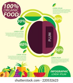 plum, infographics. fruits vector illustration.