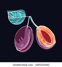 Plum isolated image, on a dark background. Bright, juicy tasty fruit. Element for design menus, organic products, vegetarian food. Vector graphics. Doodle style Hand drawing.