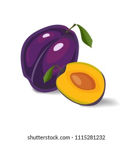 Plum isolated on a white background. Colorful illustration of  whole plum with green leaf and a half of plum. 