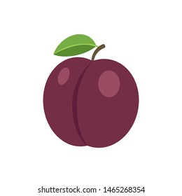 plum isolated on white background. Vector illustration. Eps 10.