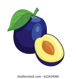 Plum isolated on white background. Vector illustration.
