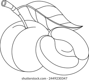 Plum Isolated Vector Illustration Coloring Page Hand Drawn for Kids