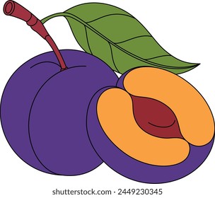 Plum Isolated Vector Illustration Hand Drawn 