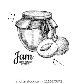 Plum jam glass jar vector drawing.  Fruit Jelly and marmalade.  Hand drawn food illustration. Sketch style vintage objects for label, icon, packaging design.