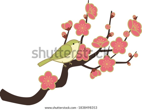 Plum\
and a Japanese bush warbler Illustration (Red\
Plum)