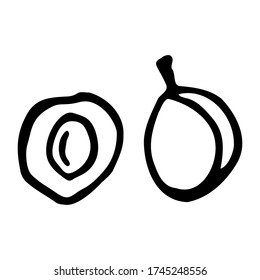 Ciruela con núcleo. Icono de doodle de esquema dibujado a mano. Transparente aislado en el fondo blanco. Ilustración vectorial para tarjetas de felicitación, carteles, parches, impresiones para ropa, emblemas.