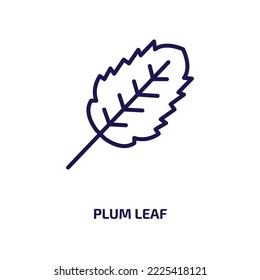 plum leaf icon from nature collection. Thin linear plum leaf, plum, leaf outline icon isolated on white background. Line vector plum leaf sign, symbol for web and mobile