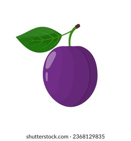 Plum with leaf vector Illustration on a white background