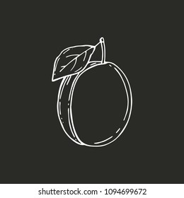 Plum with leaf vector sketch icon isolated on background. Hand drawn