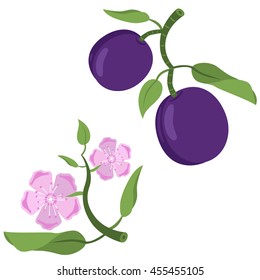 Plum with leafs and flowers