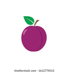 Plum Logo Vector Icon Design Template