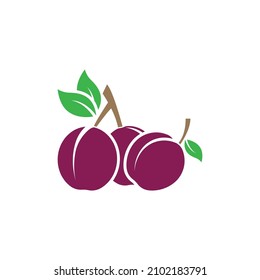 Plantilla de diseño de iconos vectoriales del logotipo del complemento