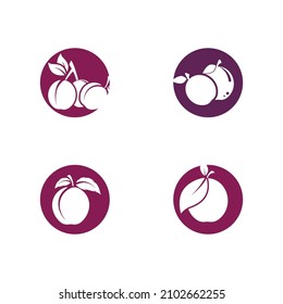 Plantilla de diseño de iconos vectoriales del logotipo del complemento