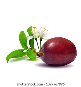 Plum low poly. Bloom of plum. Fresh, nutritious, tasty plum. Delicious and healthy dessert. Elements for label design. Vector illustration. Fruits ingredients in triangulation technique.  