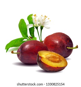Plum low poly. Bloom of plum. Fresh, nutritious, tasty plum. Delicious and healthy dessert. Elements for label design. Vector illustration. Fruits ingredients in triangulation technique.  