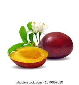 Plum low poly. Bloom of plum. Fresh, nutritious, tasty plum. Delicious and healthy dessert. Elements for label design. Vector illustration. Fruits ingredients in triangulation technique.  